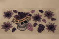 FS007